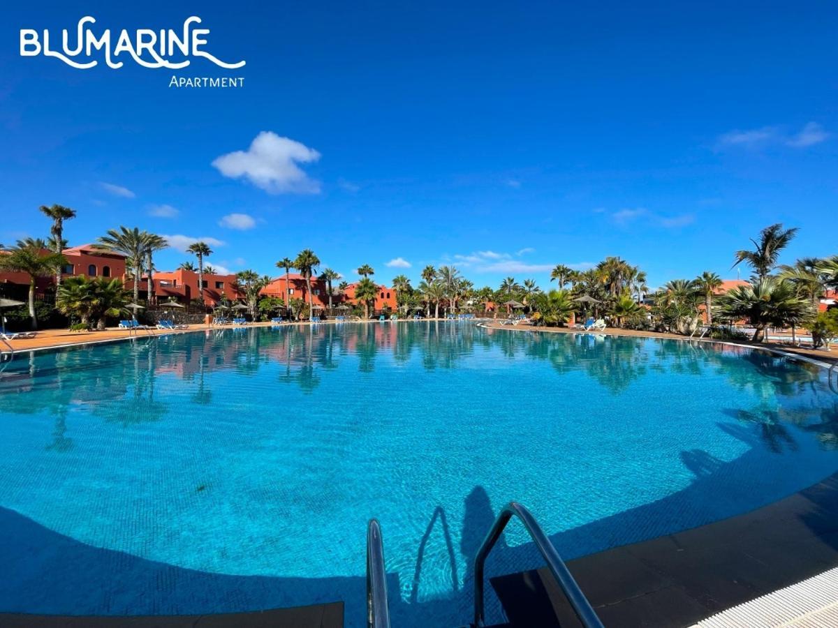 Appartement Tamarindo Blumarine - Pool & Wifi Free 4 Persons à Corralejo Extérieur photo