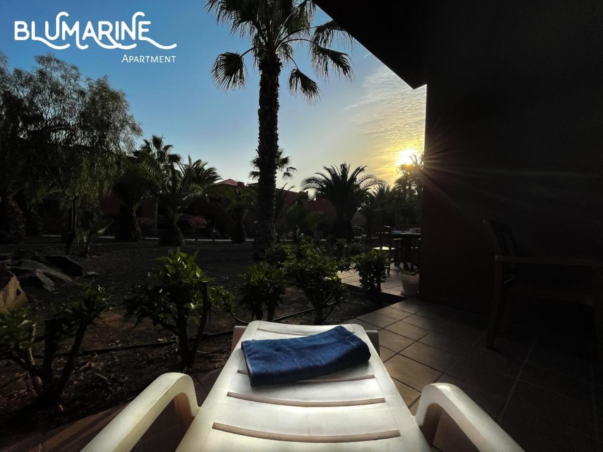 Appartement Tamarindo Blumarine - Pool & Wifi Free 4 Persons à Corralejo Extérieur photo